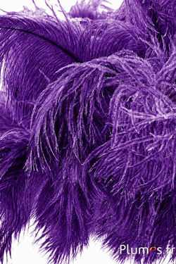 Strauss - 30-40 cm - naturgrau-aubergine